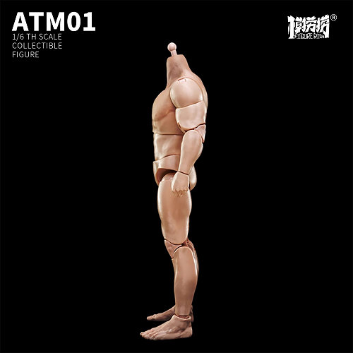 1/6 アップグレードストロングバージョン男性素体（ATM-01）