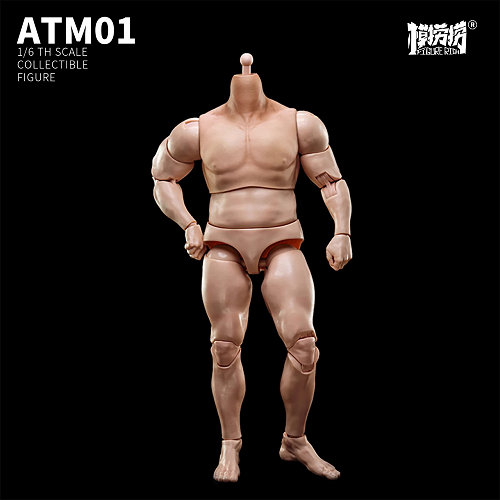 1/6 アップグレードストロングバージョン男性素体（ATM-01）