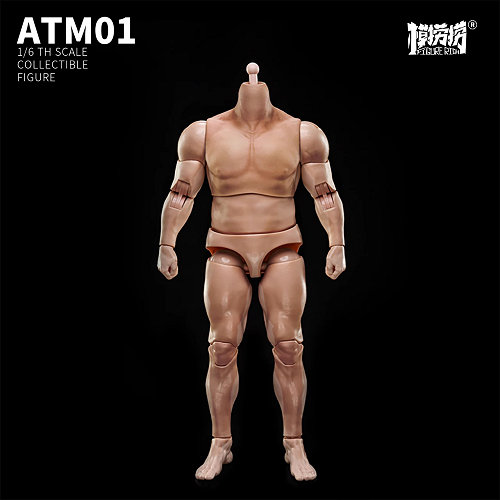 1/6 アップグレードストロングバージョン男性素体（ATM-01）