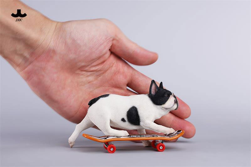 1/6 スケートボーディング フレンチブルドッグ D（JXK243D）