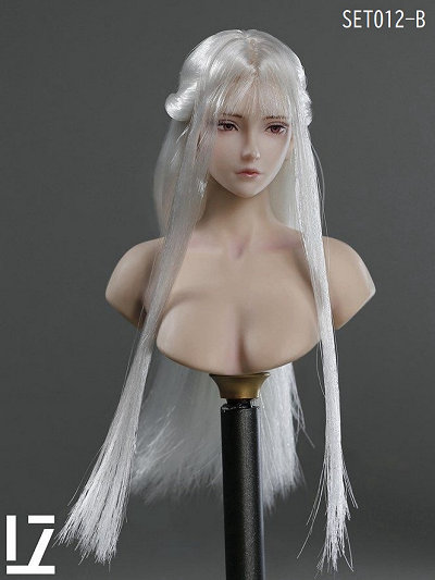 1/6女性ヘッドB (Silver White Hair)LZ-SET012B