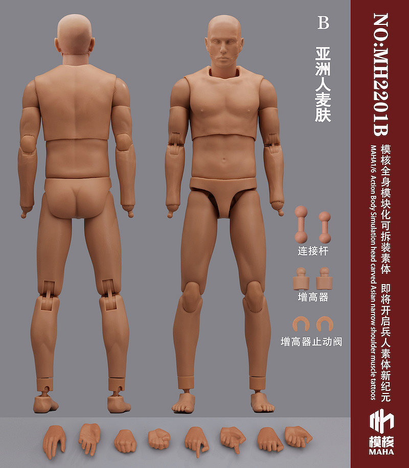 1/6 アジア人男性素体B（Tan Skin）MH2201B