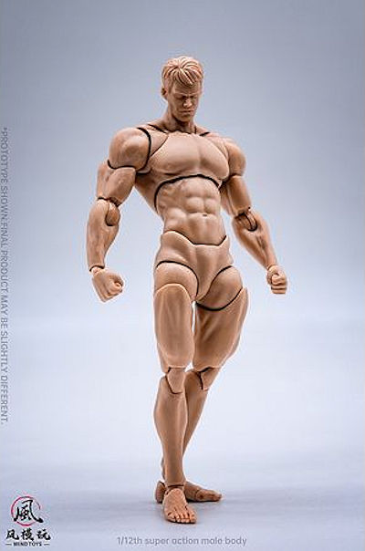 1/12 スーパーフレキシブル男性素体A / アジアンスキン(WT-001B)
