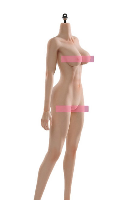 1/6 �~�f�B�A�� �`�F�X�g �X�^���_�[�g ���j�o�[�T�� �E�[�}�� �V���R�� �{�f�B �u����V�[�����X �F�� 02A�vver�iVC-D02A�j