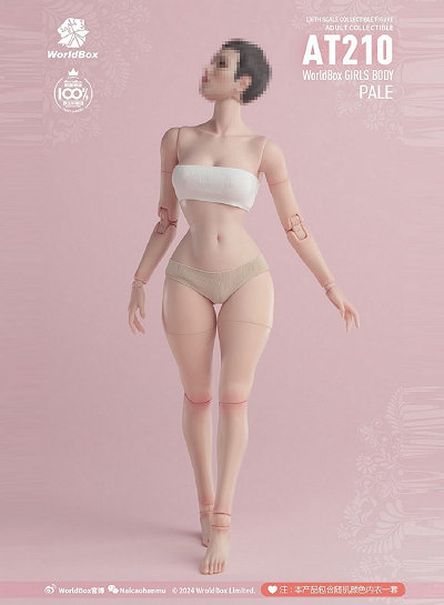 1/6fuf̃XEGXgAiPale SkinjWB-AT210A
