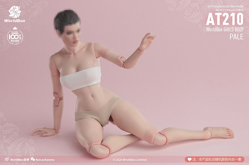 1/6fuf̃XEGXgAiPale SkinjWB-AT210A